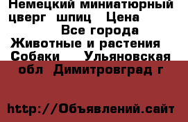 Немецкий миниатюрный(цверг) шпиц › Цена ­ 50 000 - Все города Животные и растения » Собаки   . Ульяновская обл.,Димитровград г.